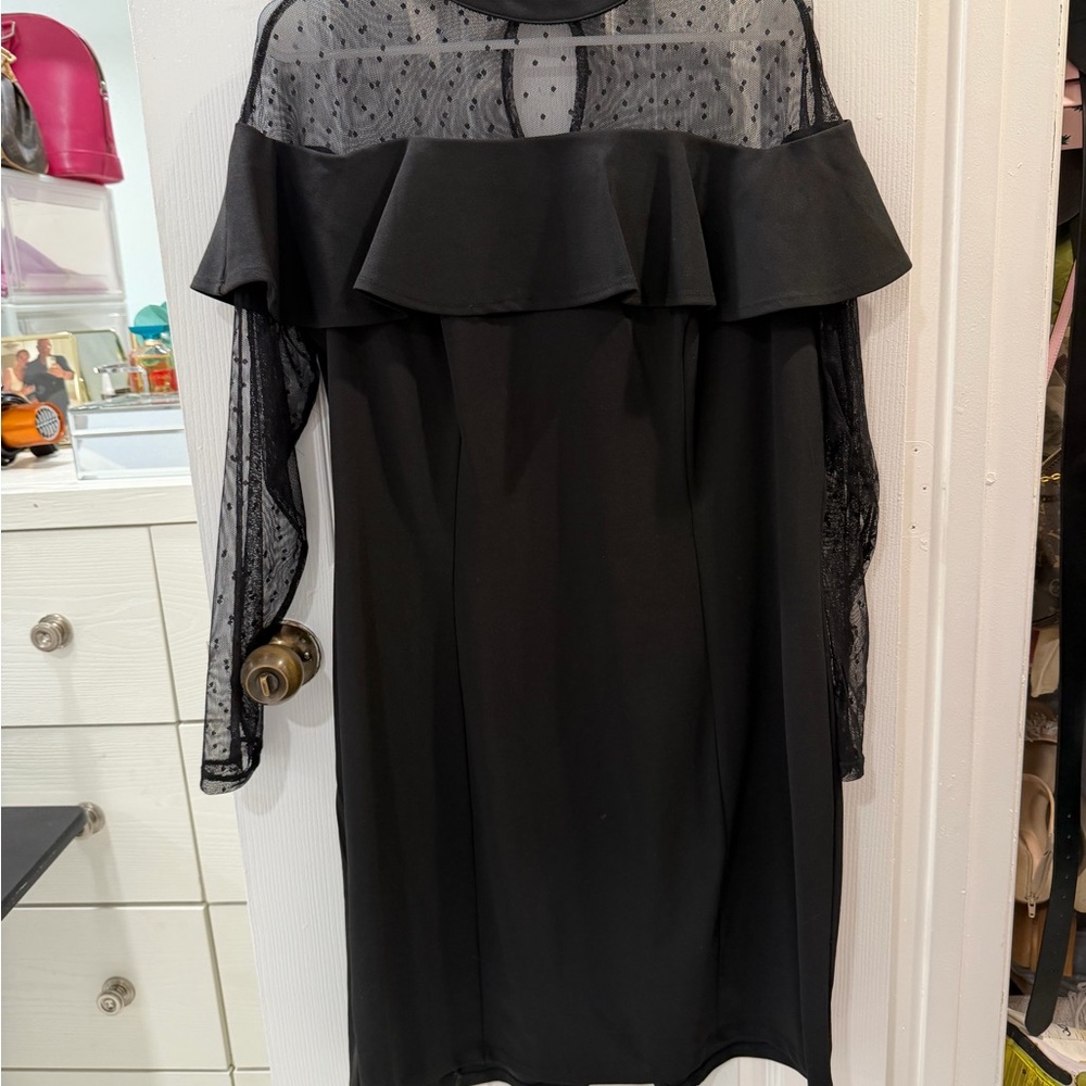 Love Squared Black Sheer Mesh Ruffle Long Sleeve Dress